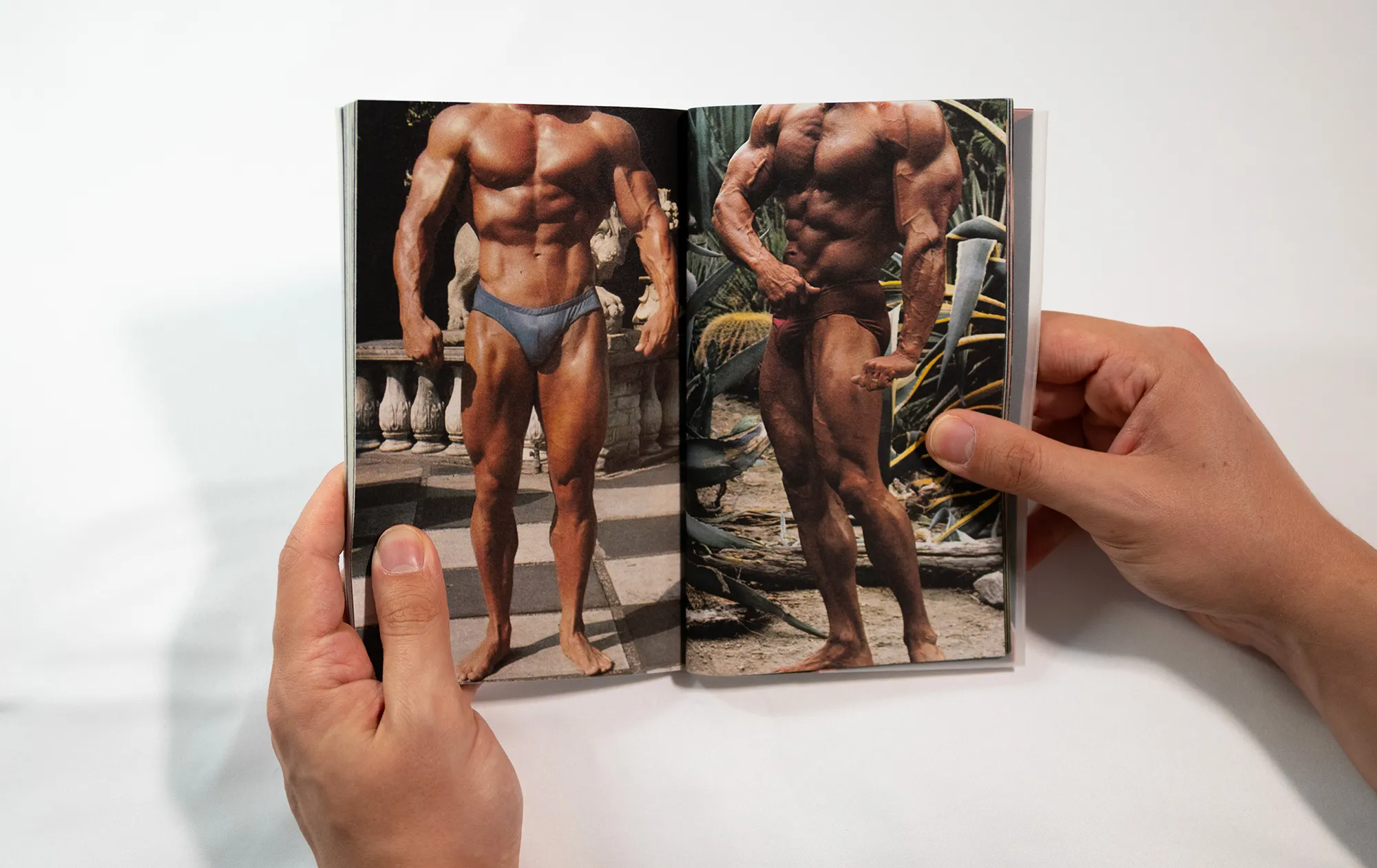 Mise en page d'archives de bodybuilding en couleur